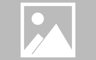 如东武清网站建设方案（天津武清政府招标网）